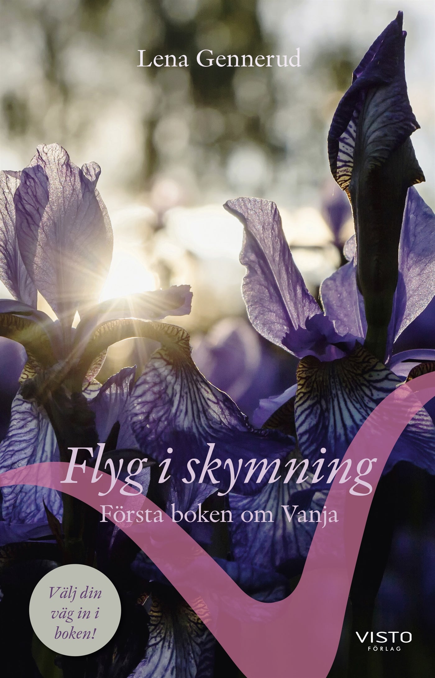 Flyg i skymning : första boken om Vanja – E-bok