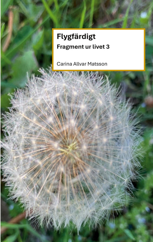 Flygfärdigt: Fragment ur livet 3 – E-bok
