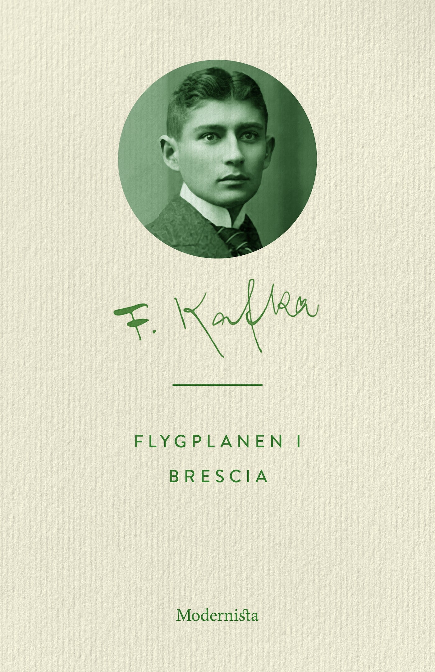 Flygplanen i Brescia – E-bok