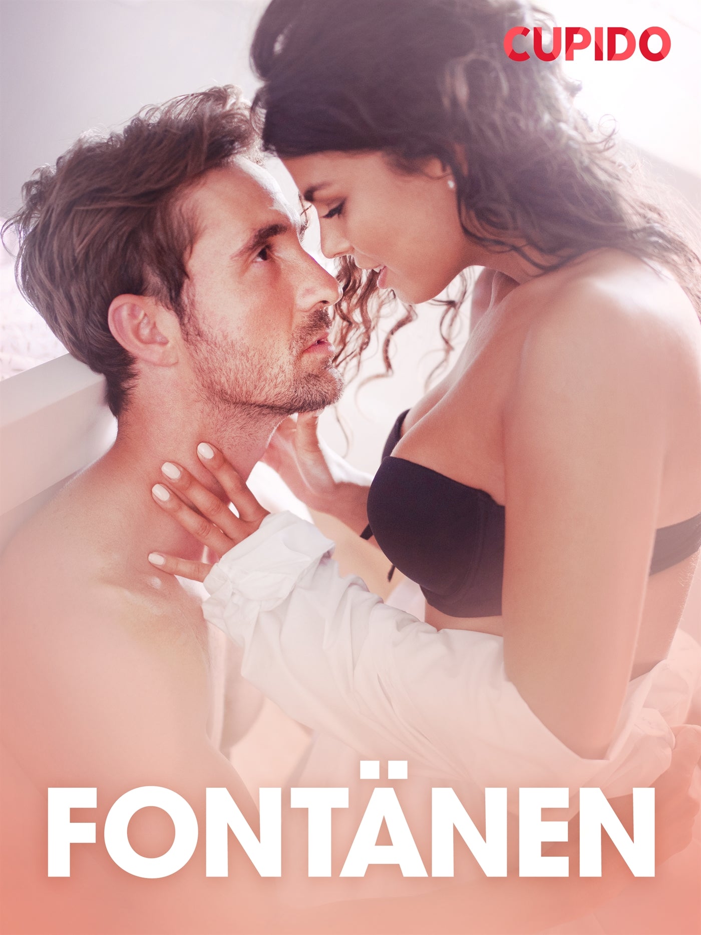 Fontänen – erotisk novell – E-bok