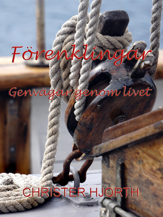 Förenklingar: Genvägar genom livet – E-bok