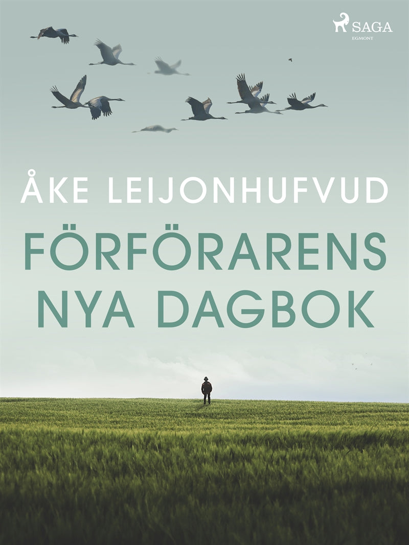 Förförarens nya dagbok – E-bok
