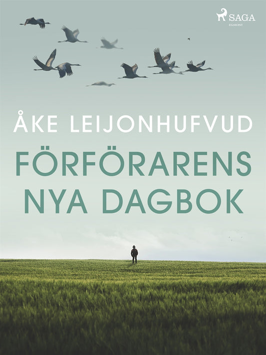 Förförarens nya dagbok – E-bok