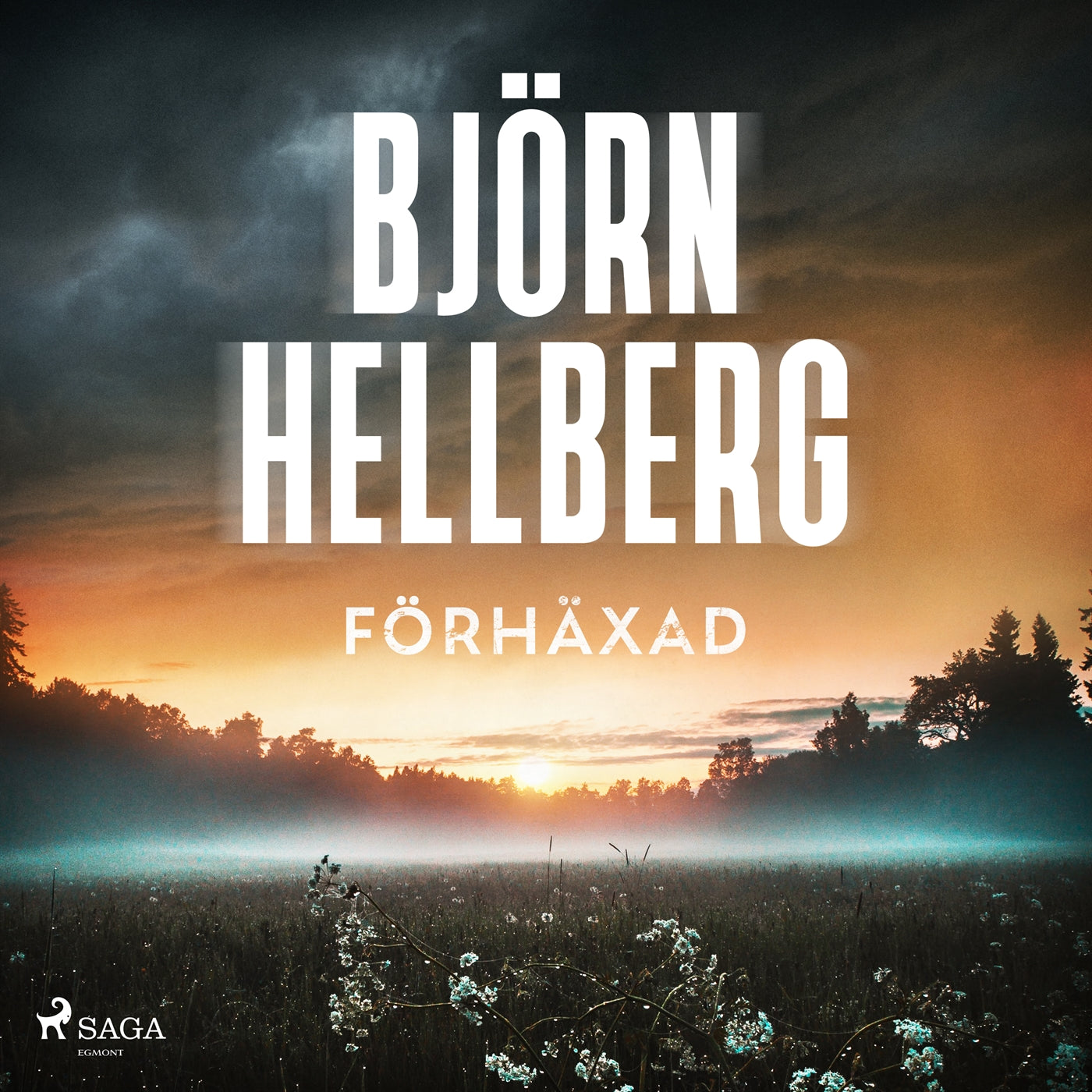 Förhäxad – Ljudbok