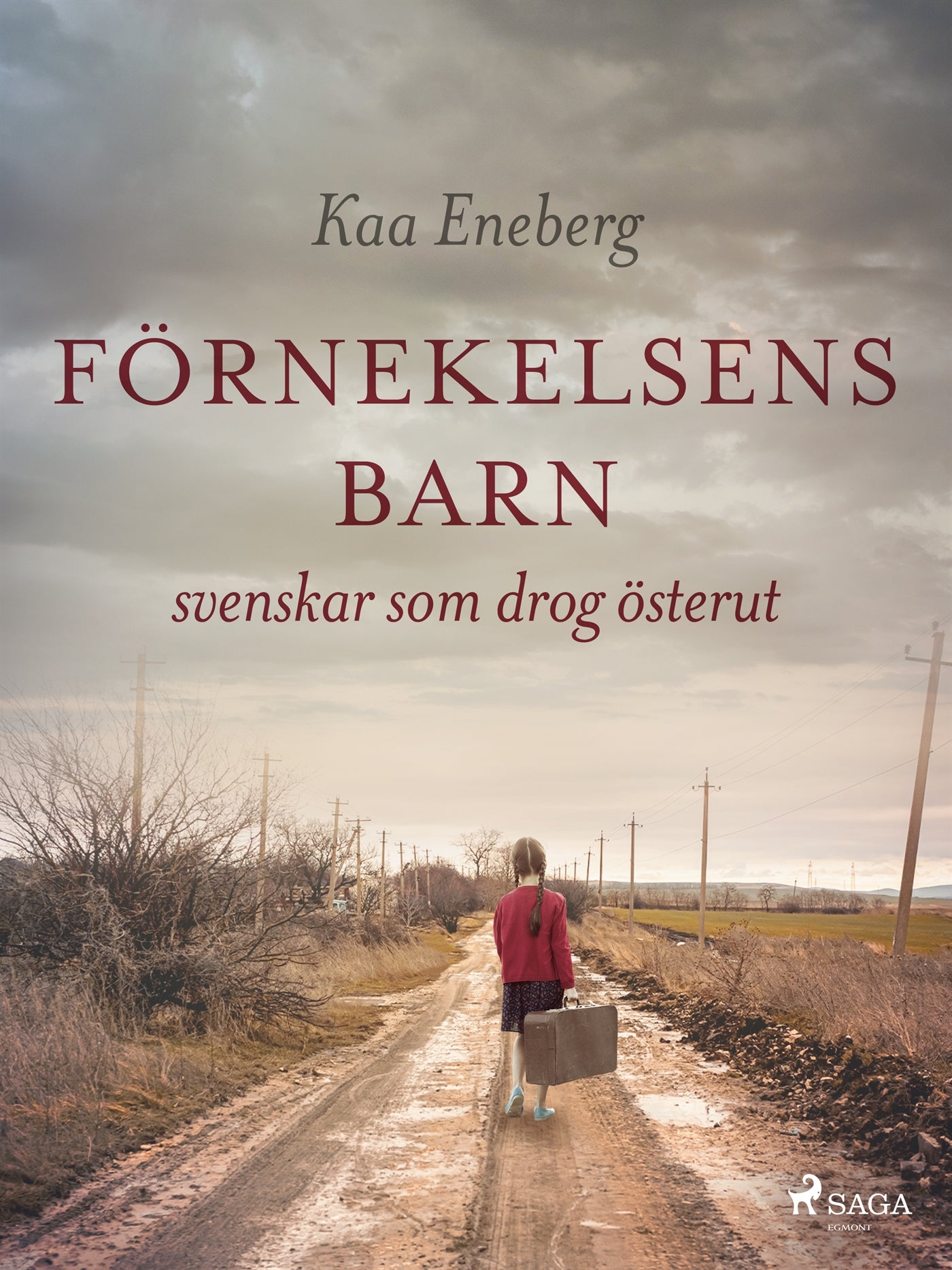 Förnekelsens barn – E-bok