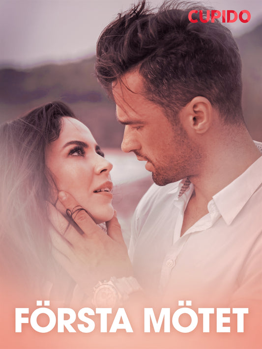 Första mötet – erotisk novell – E-bok
