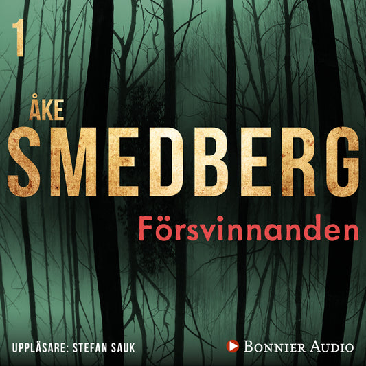 Försvinnanden – Ljudbok