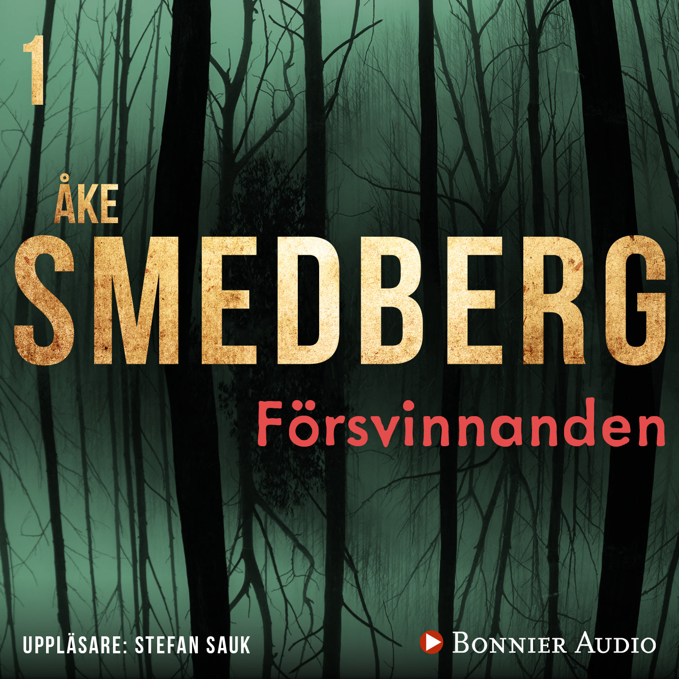 Försvinnanden – Ljudbok