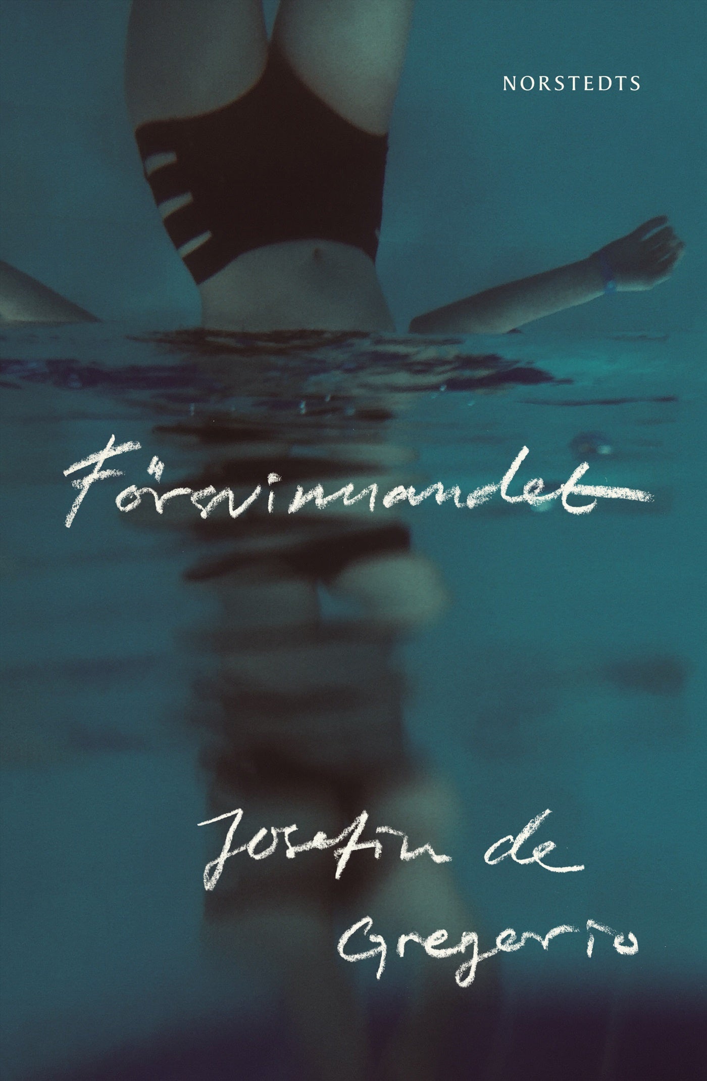 Försvinnandet – E-bok