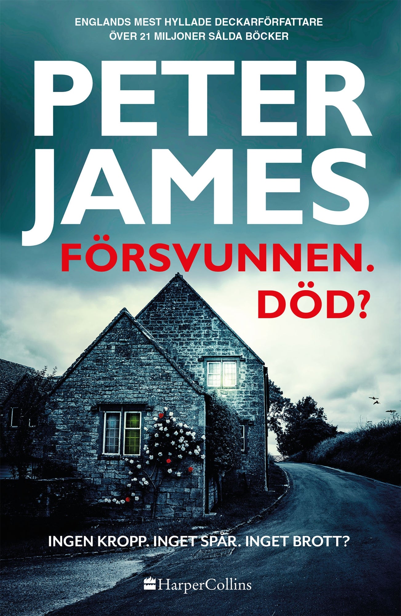 Försvunnen. Död? – E-bok