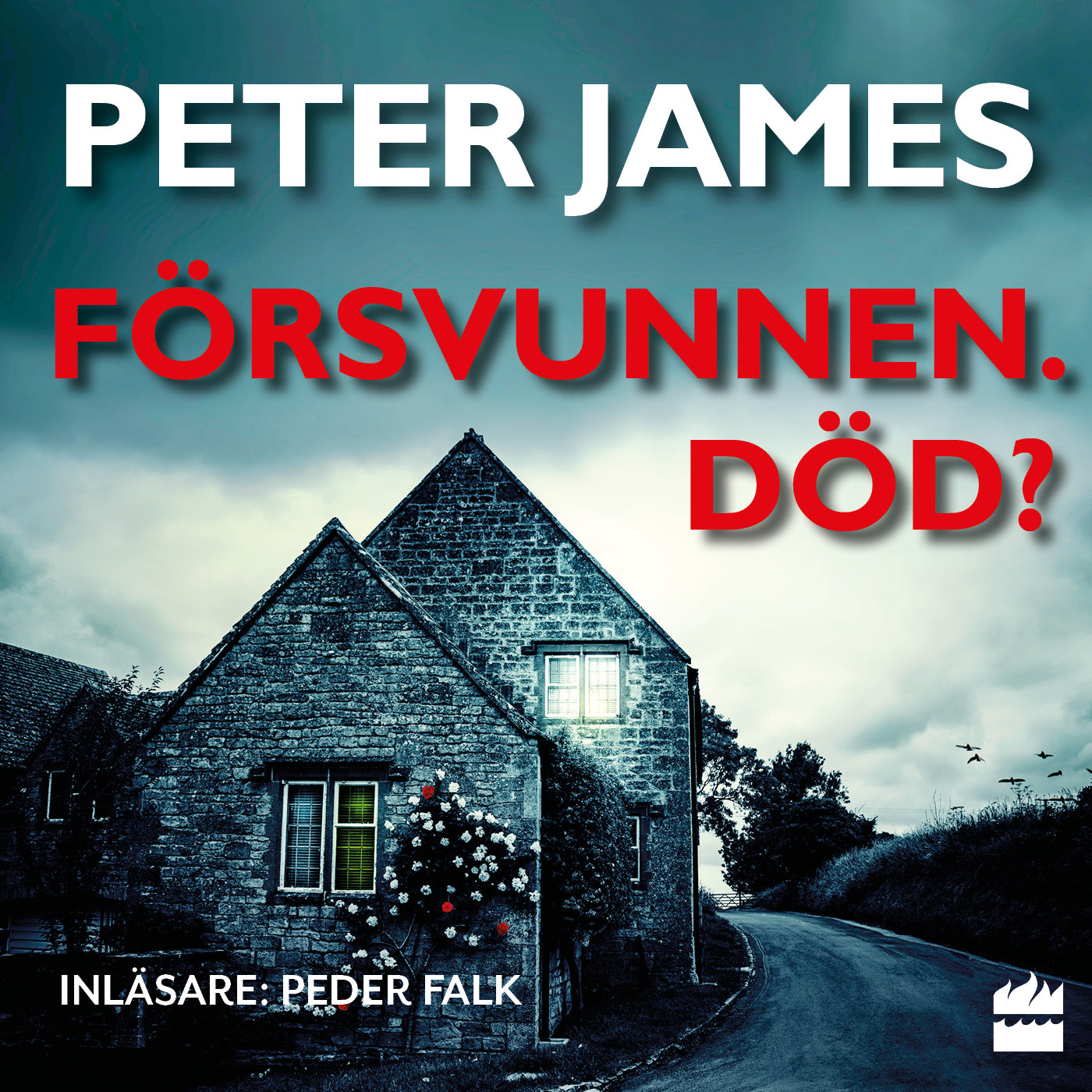 Försvunnen. Död? – Ljudbok