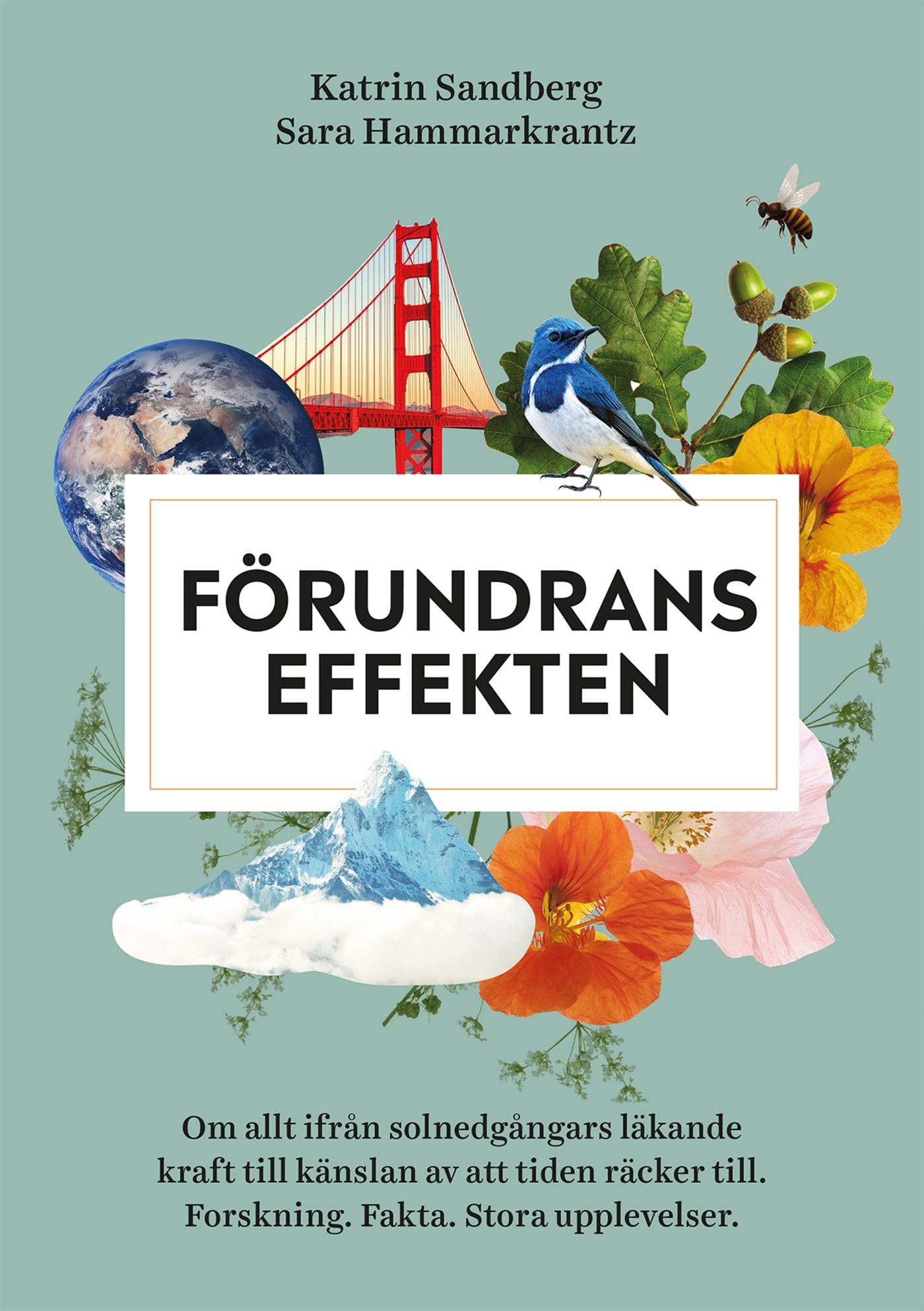 Förundranseffekten : om allt ifrån solnedgångars läkande kraft till känslan av att tiden räcker till - forskning, fakta och stora upplevelser – E-bok