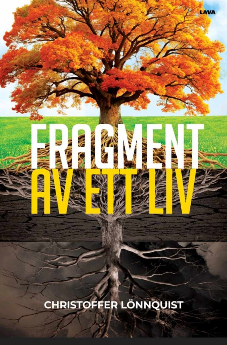 Fragment av ett liv – E-bok