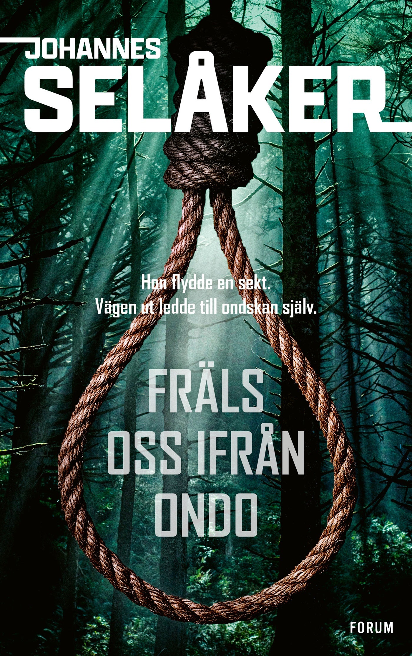 Fräls oss ifrån ondo – E-bok