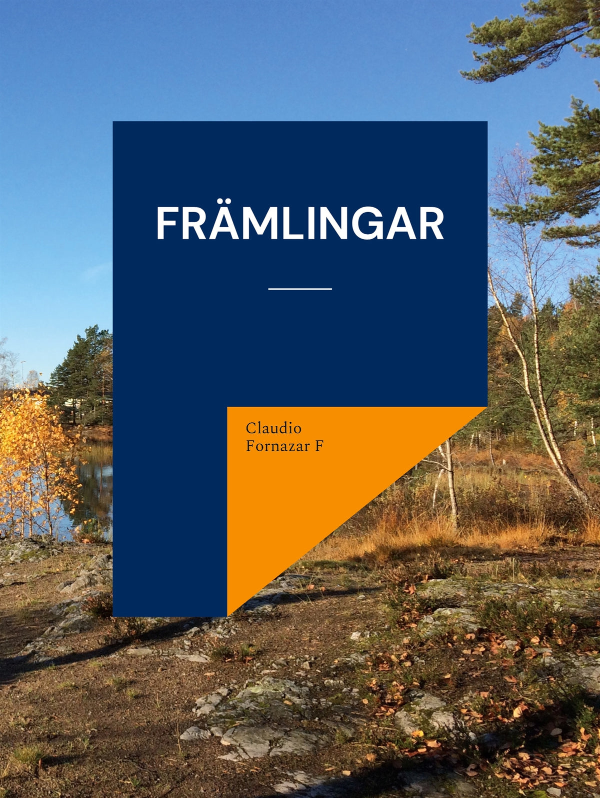 Främlingar – E-bok