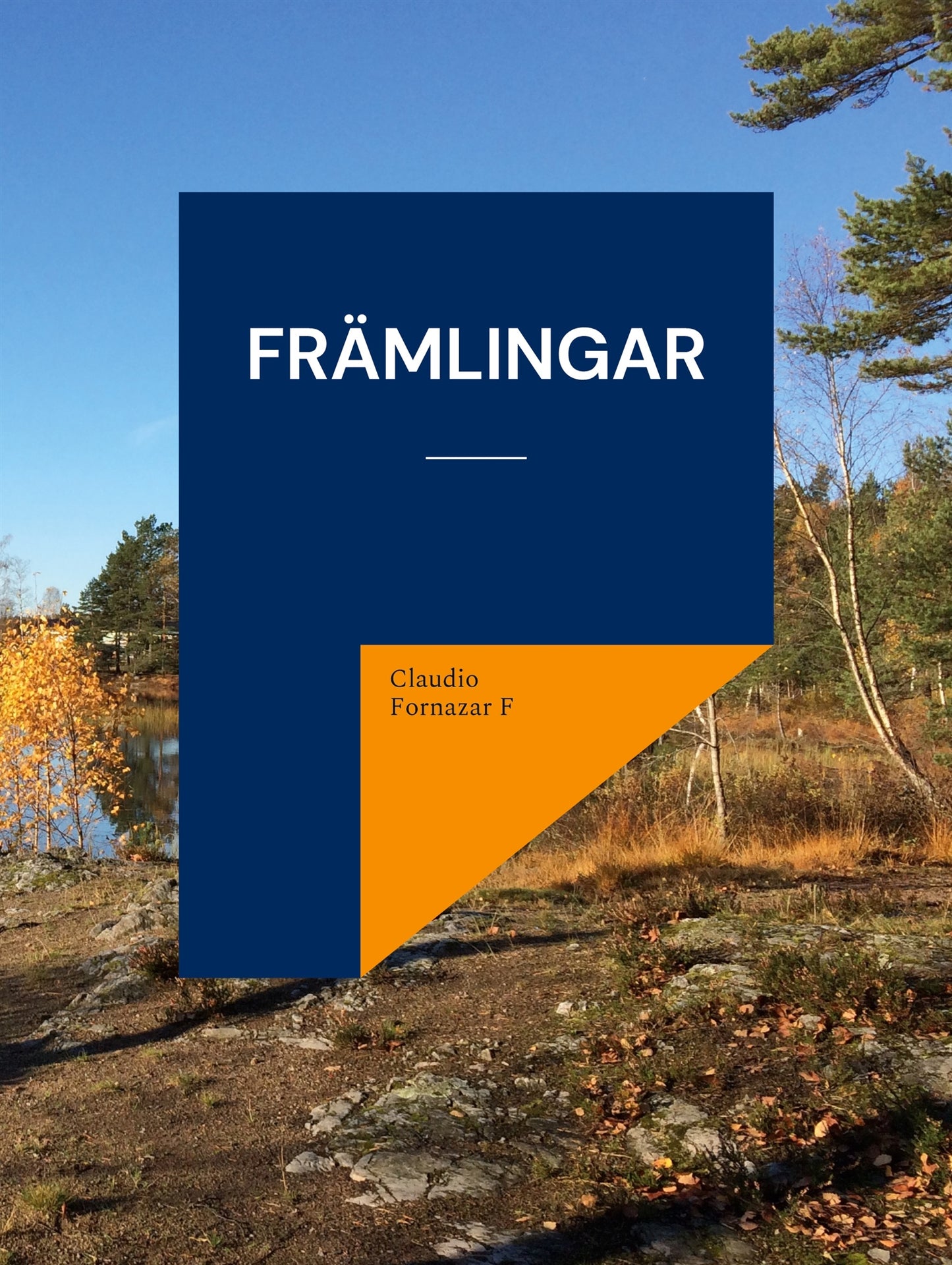 Främlingar – E-bok