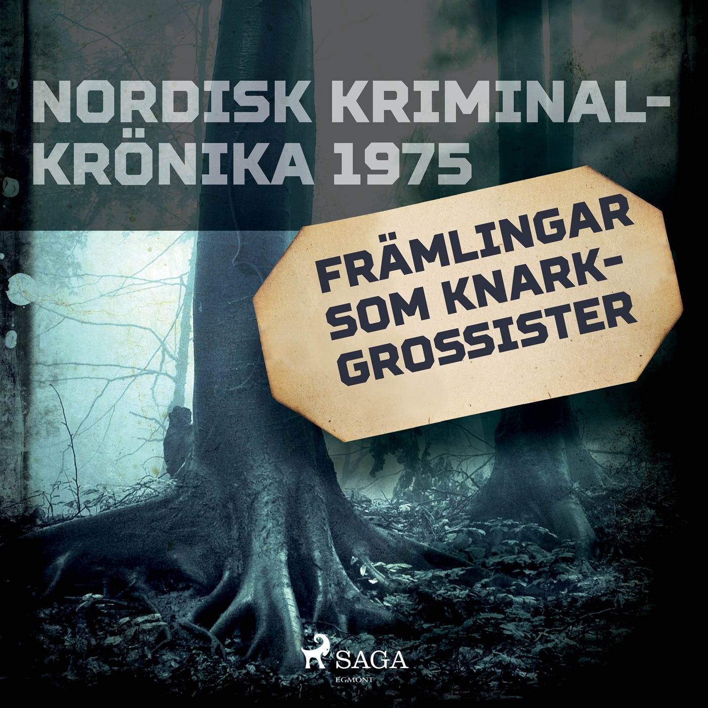 Främlingar som knarkgrossister – Ljudbok