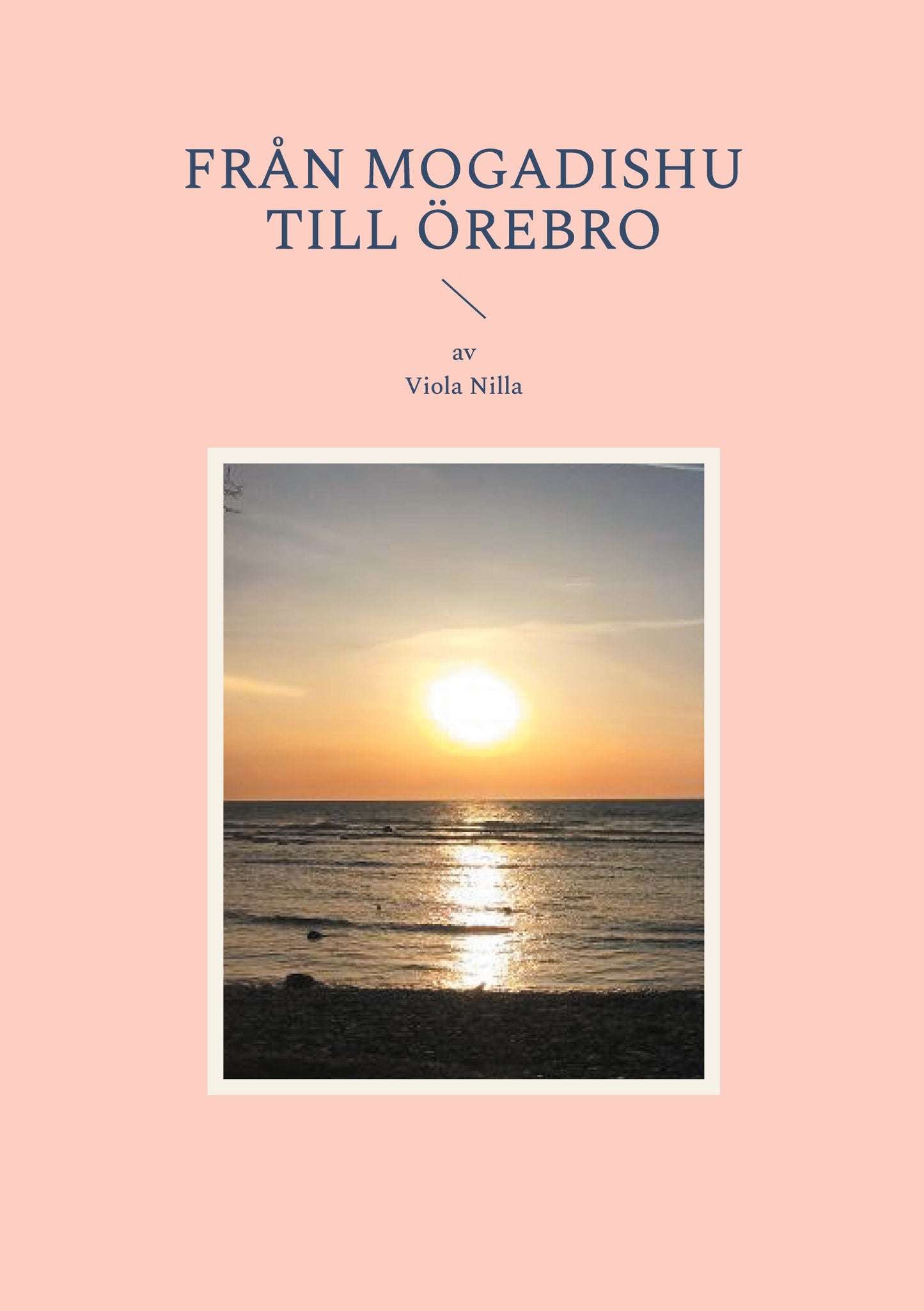 Från Mogadishu till Örebro – E-bok