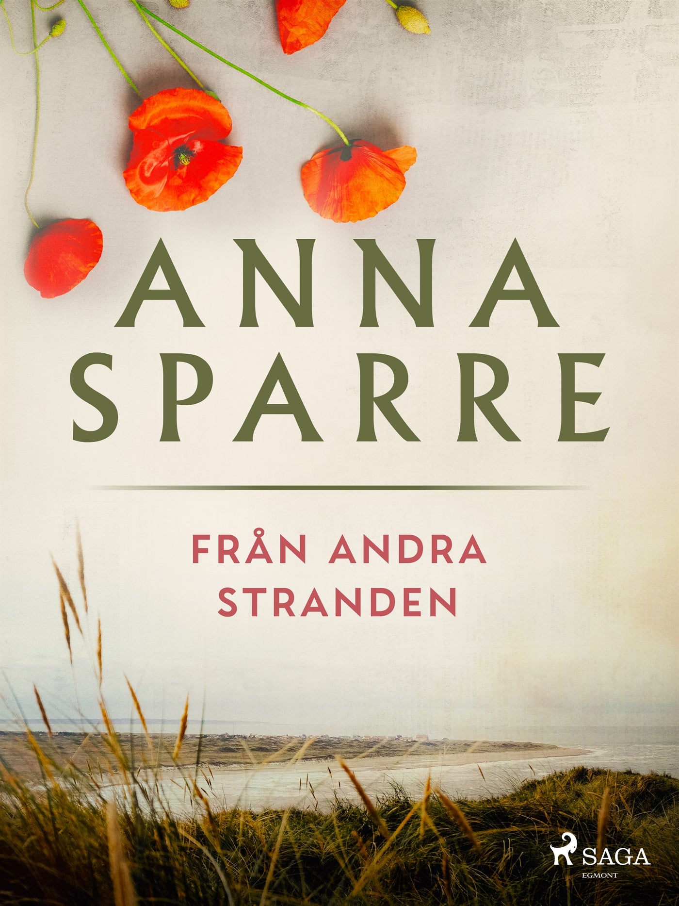 Från andra stranden – E-bok