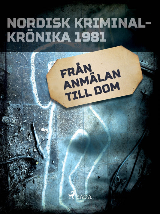 Från anmälan till dom – E-bok