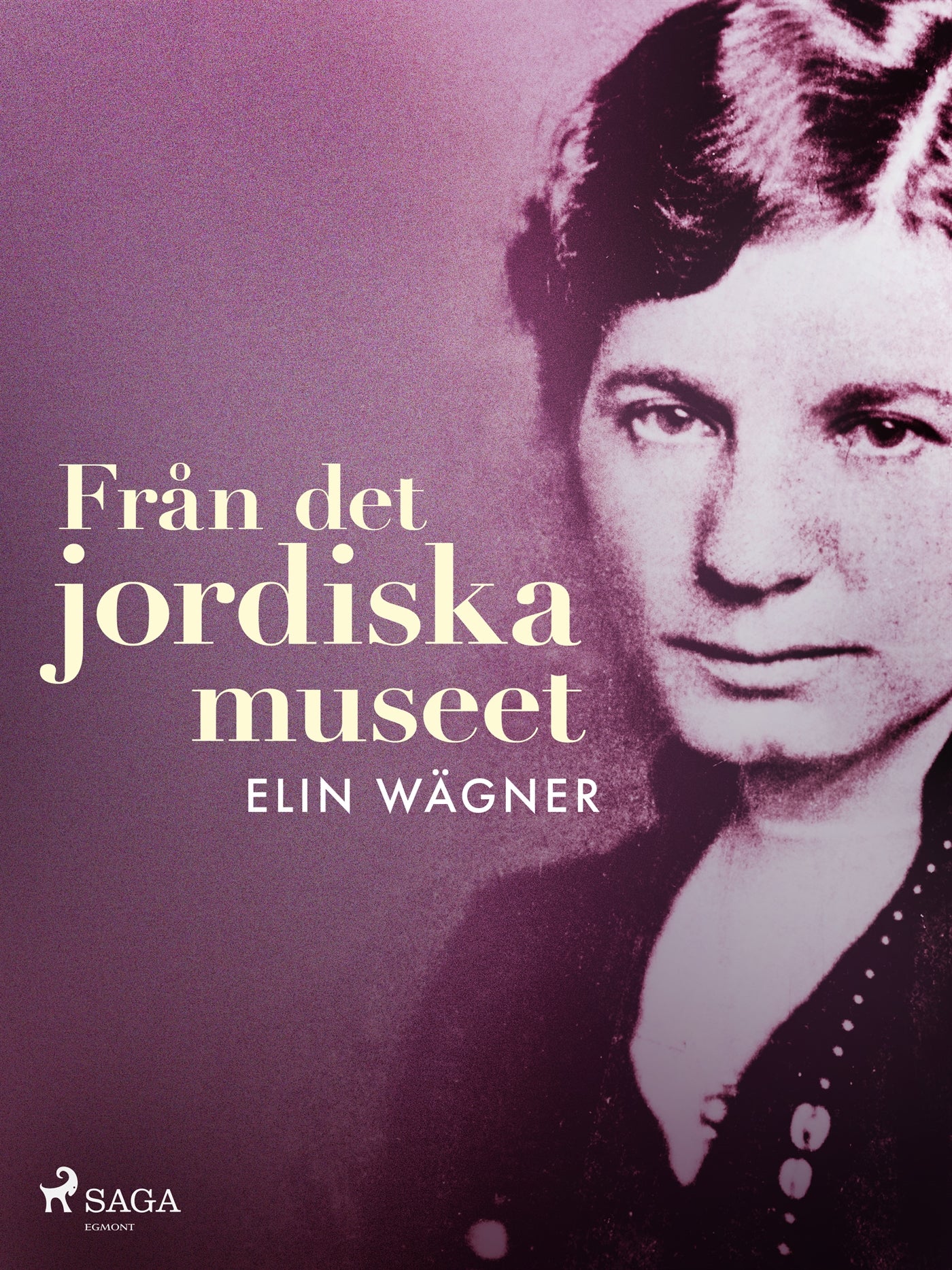 Från det jordiska museet – E-bok