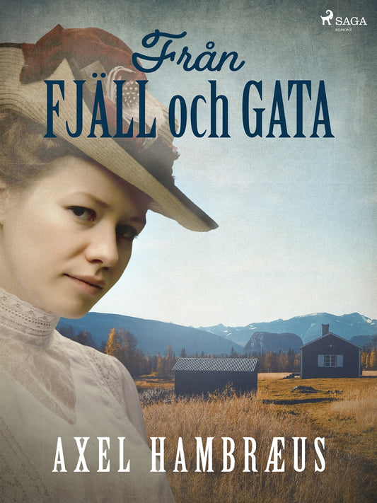 Från fjäll och gata – E-bok