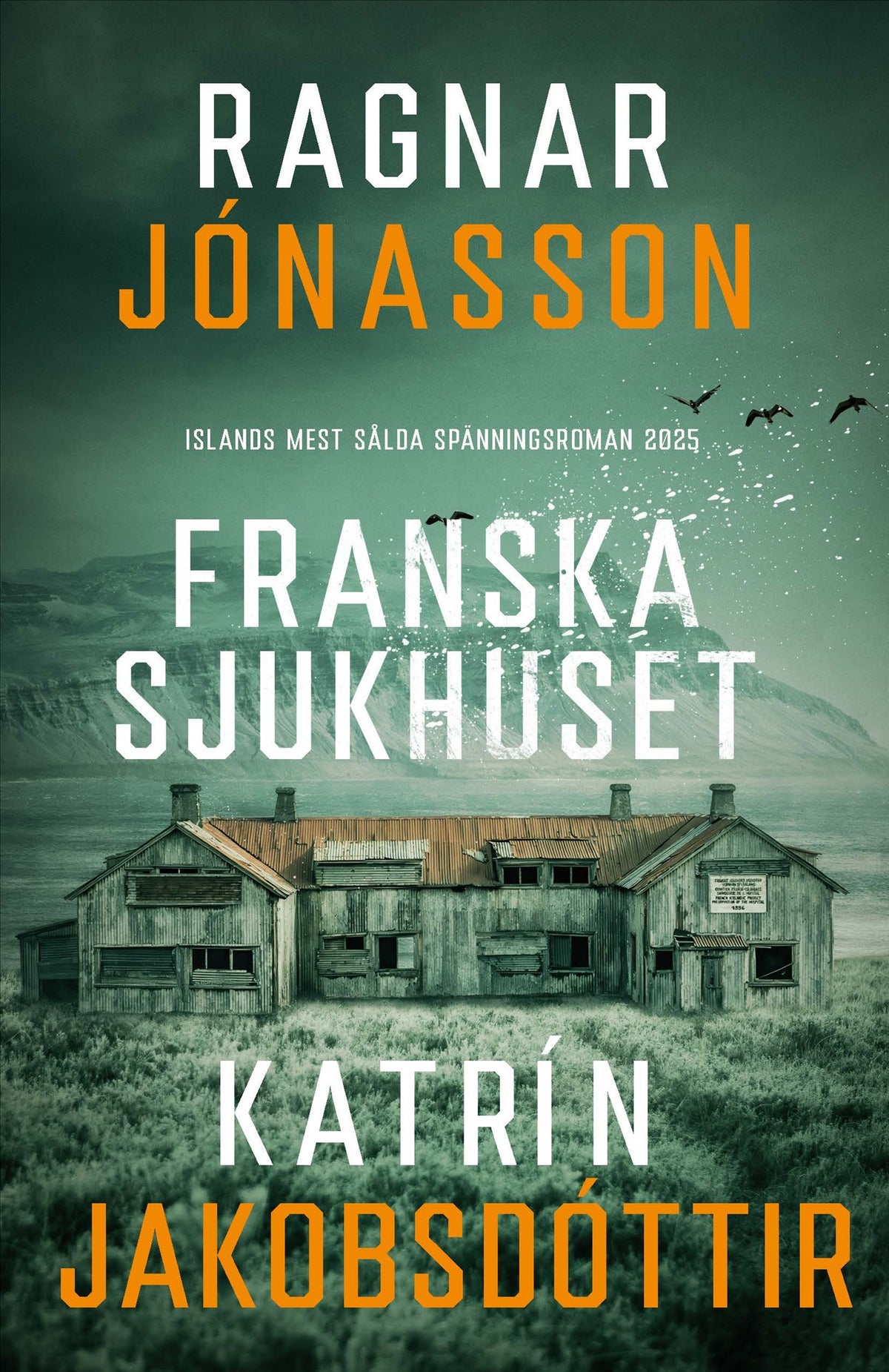 Franska sjukhuset – E-bok
