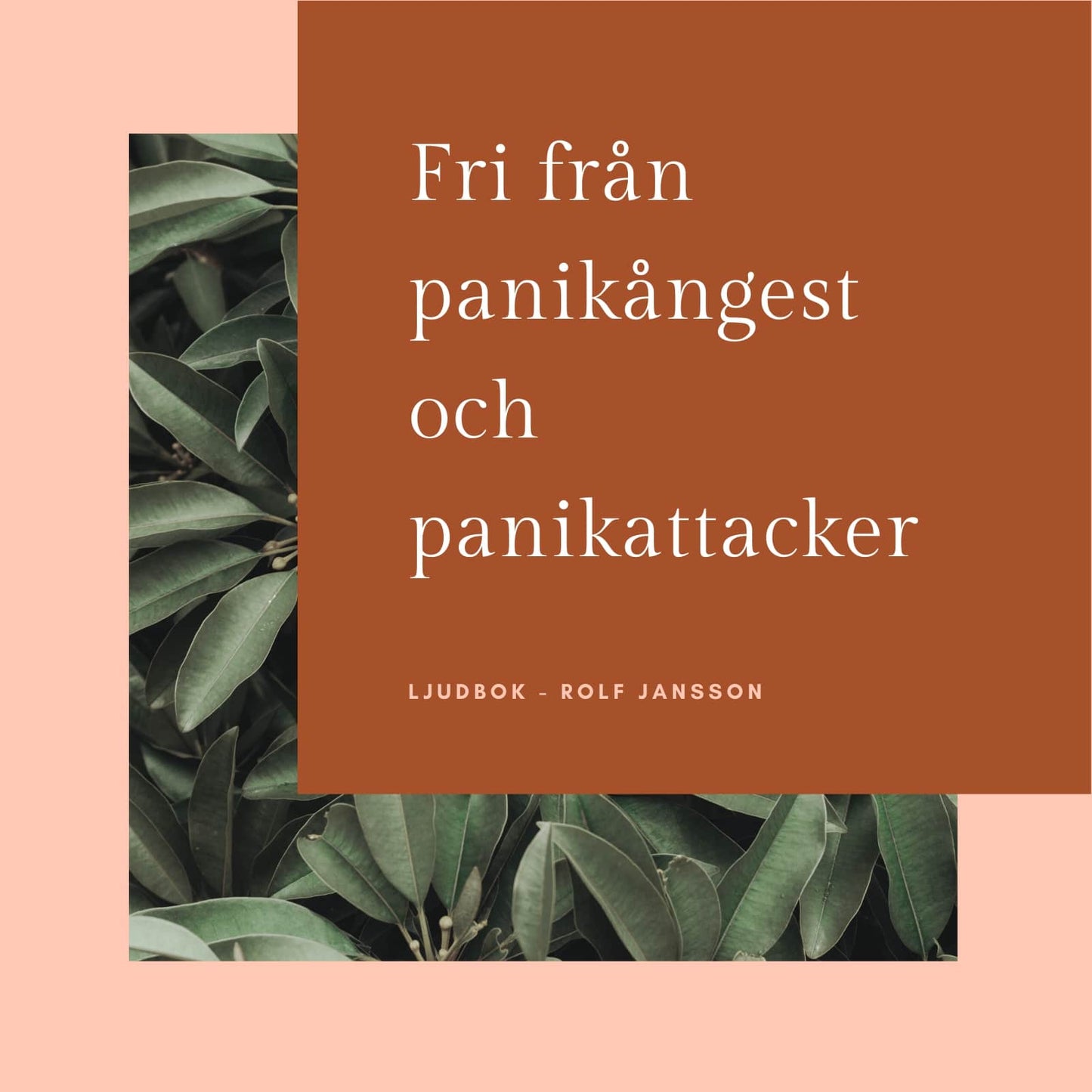 Fri från panikångest och panikattacker – Ljudbok