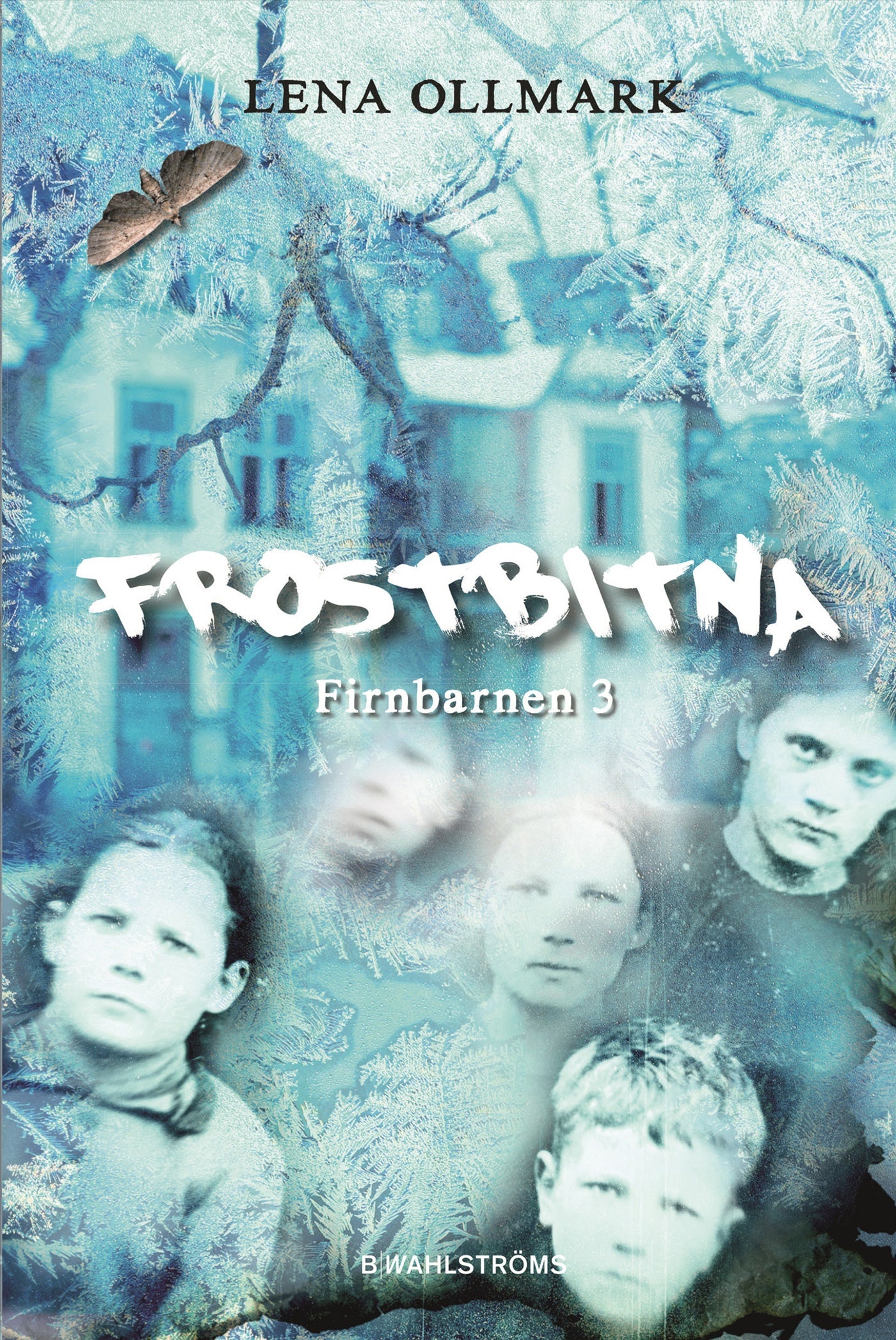 Frostbitna – E-bok
