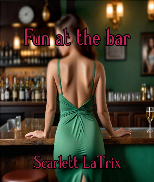 Fun at the bar – E-bok