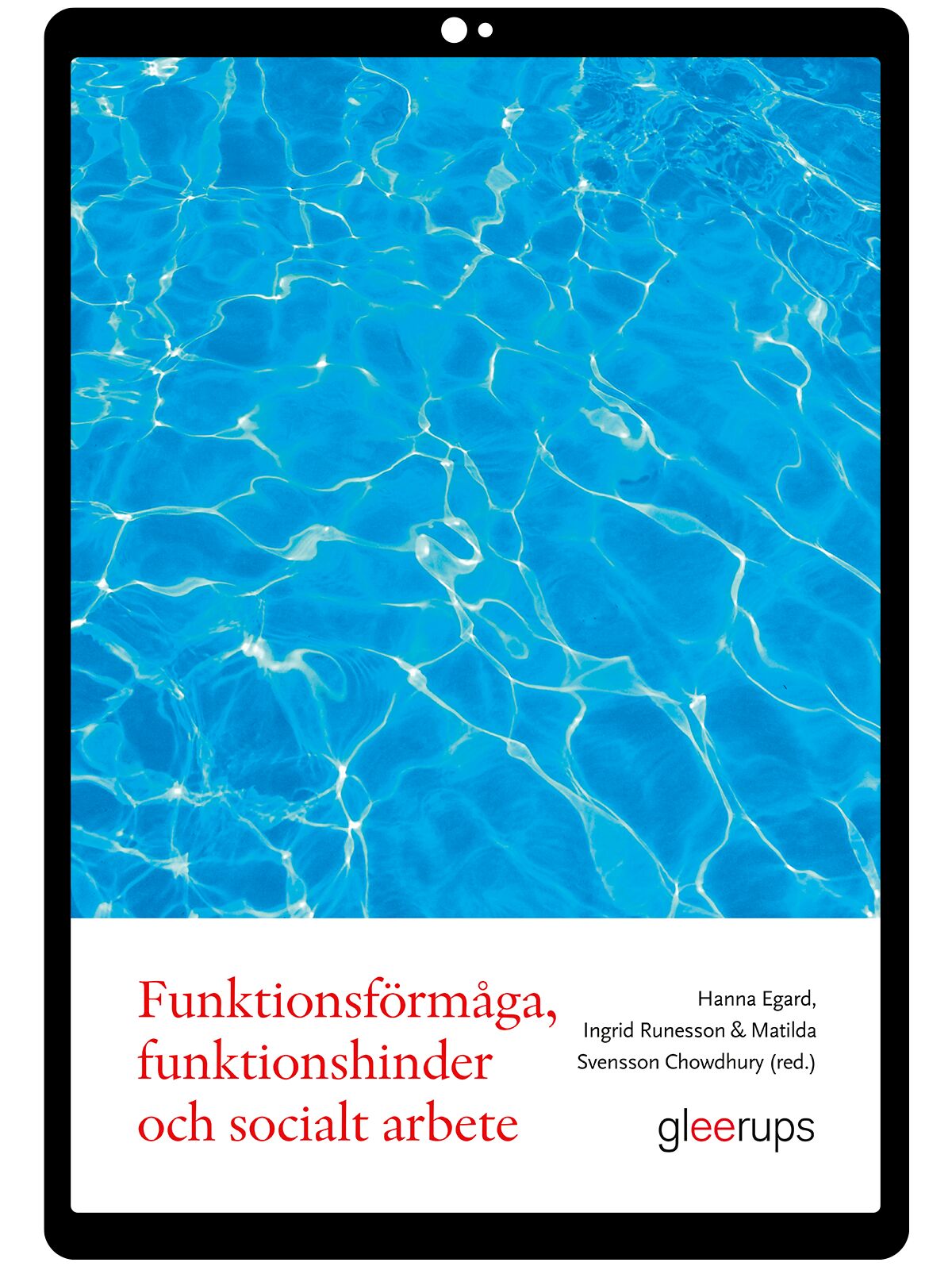 Funktionsförmåga, funktionshinder och socialt arbete e-bok