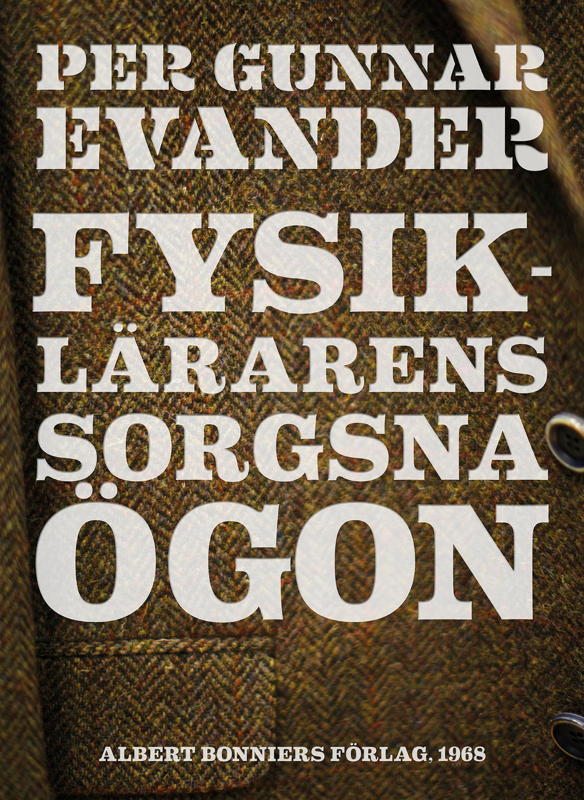 Fysiklärarens sorgsna ögon – E-bok