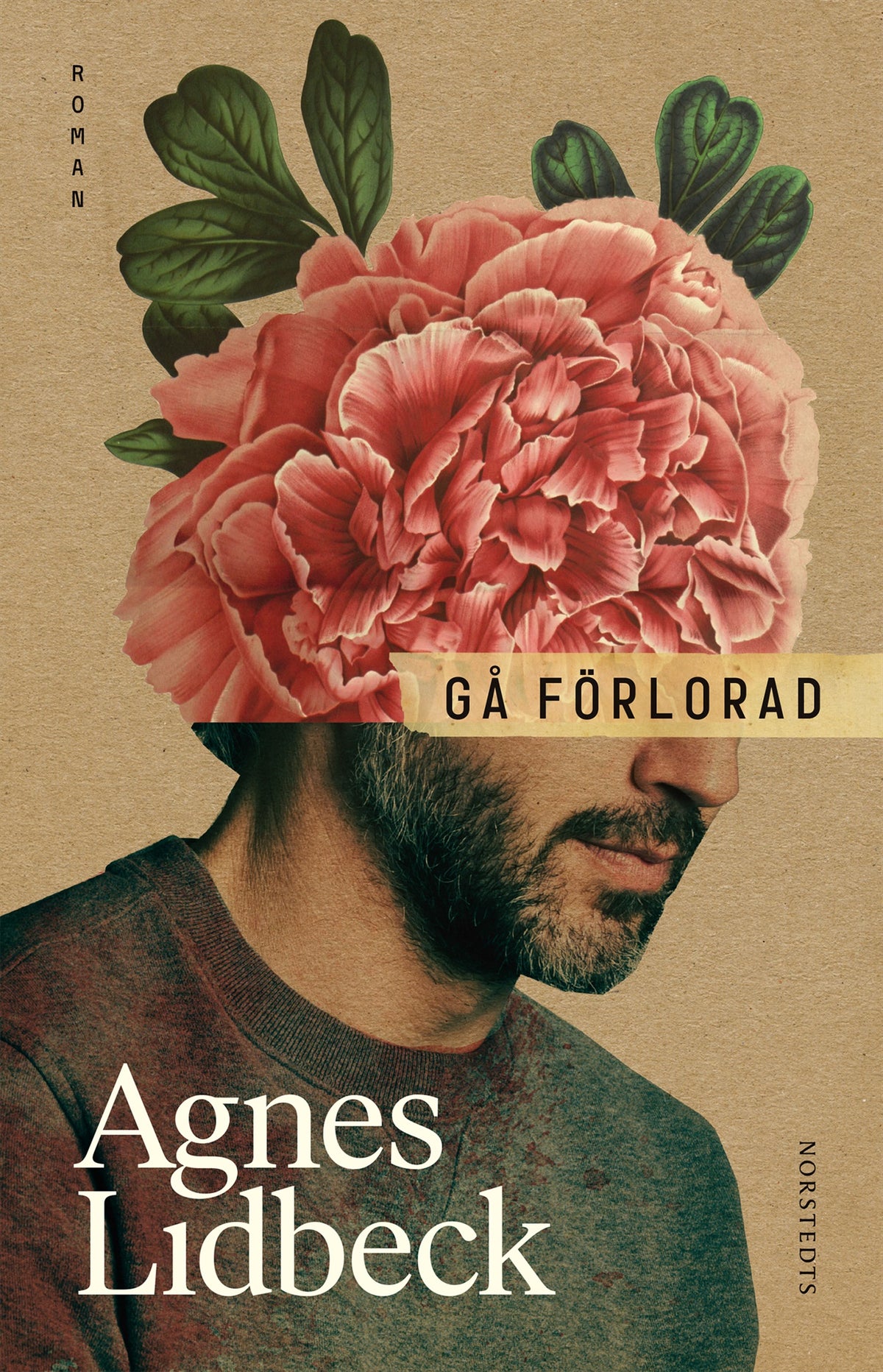 Gå förlorad – E-bok