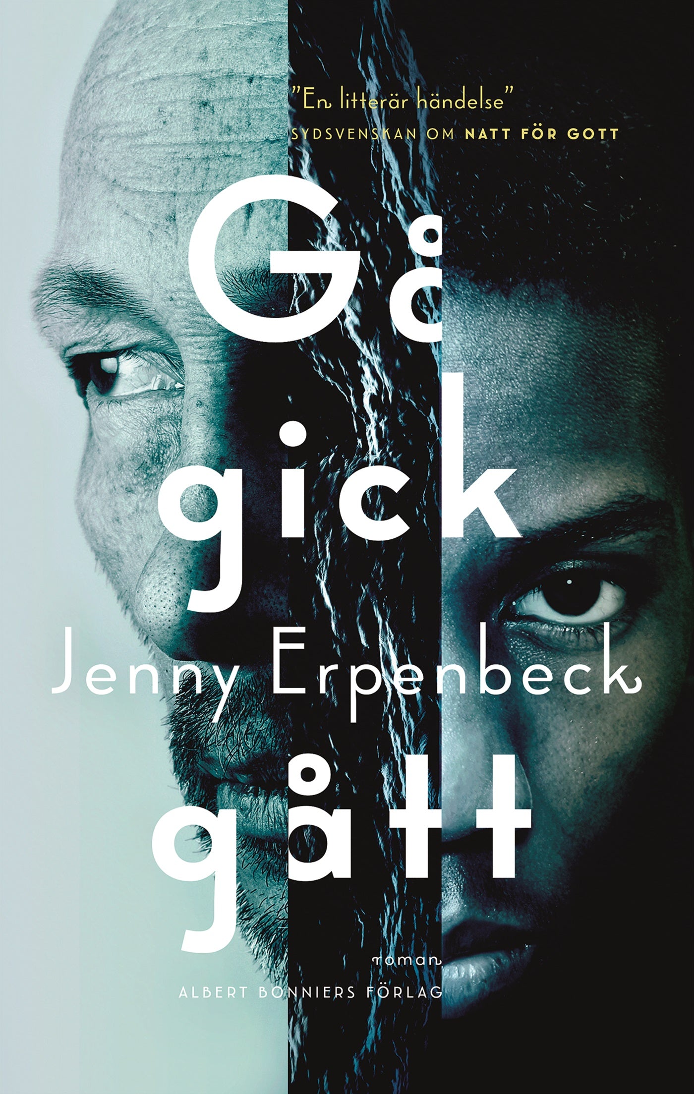 Gå, gick, gått – E-bok