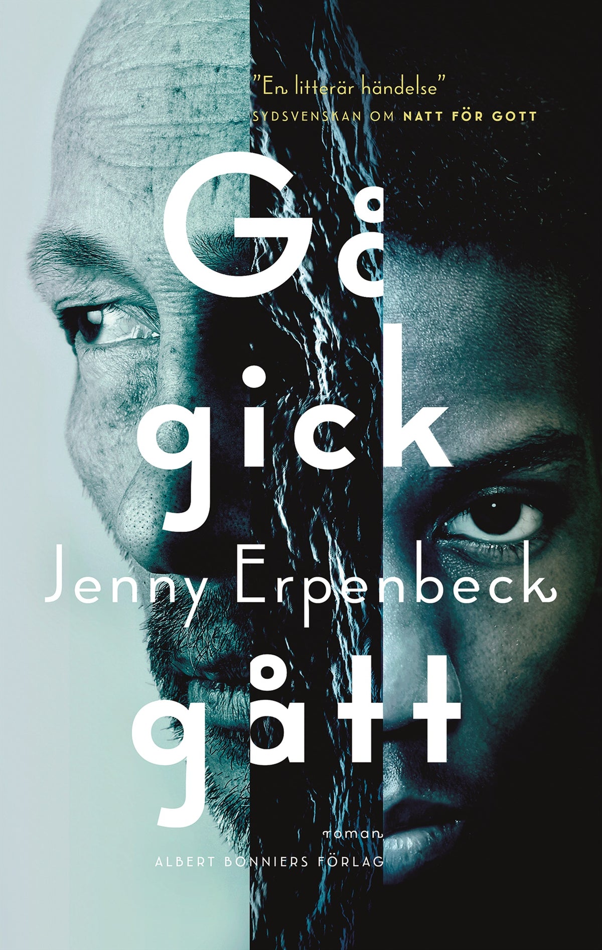 Gå, gick, gått – E-bok