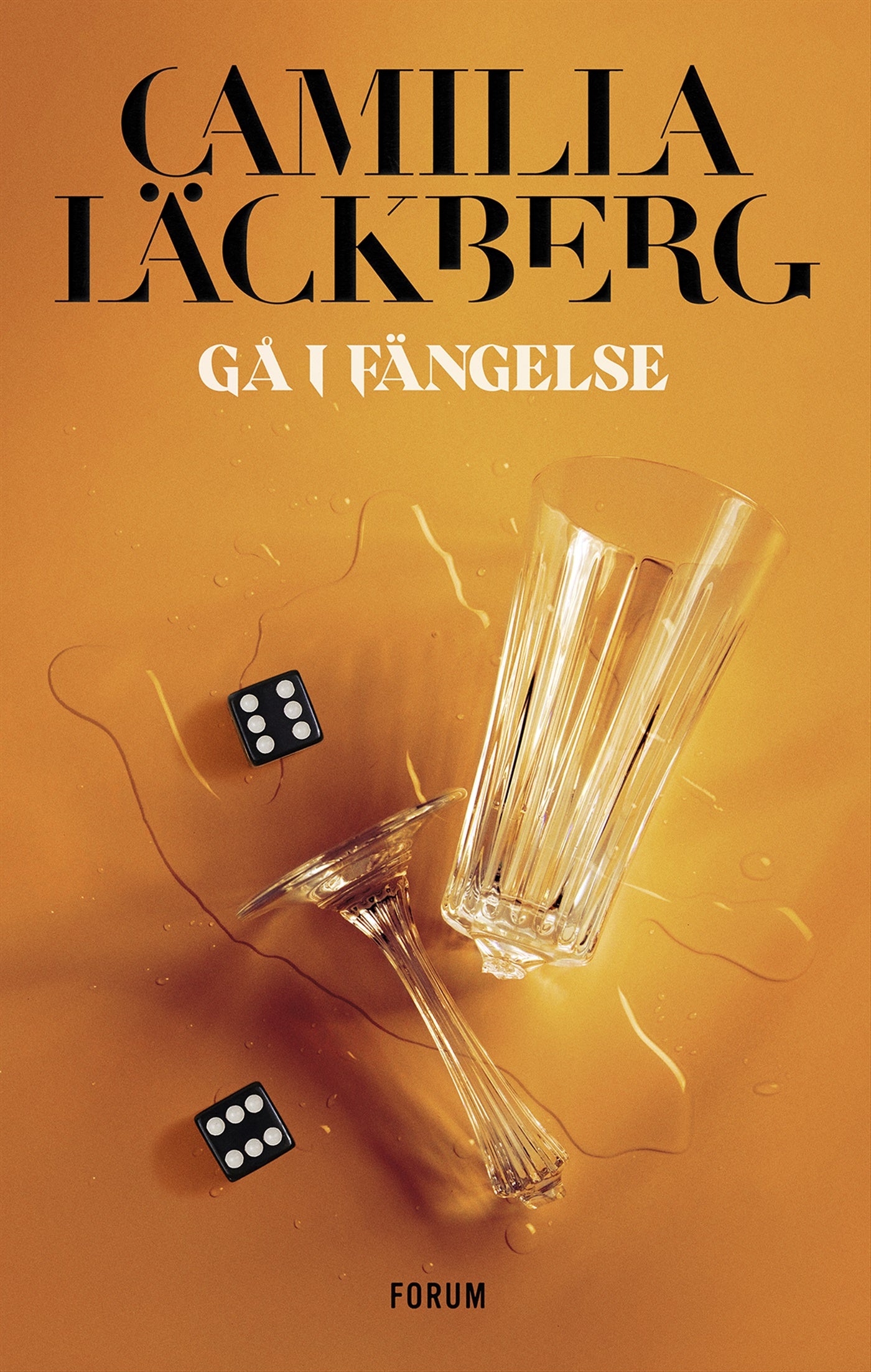 Gå i fängelse – E-bok