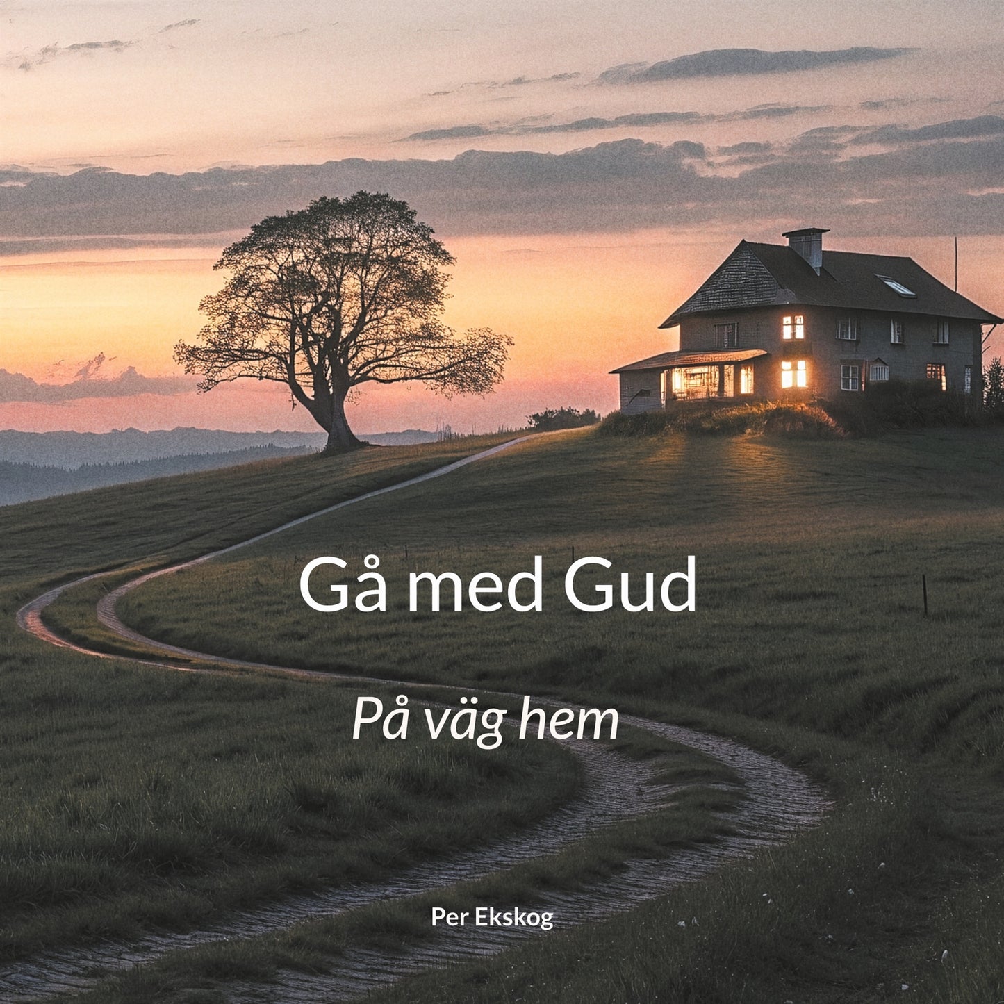 Gå med Gud: På väg hem – E-bok