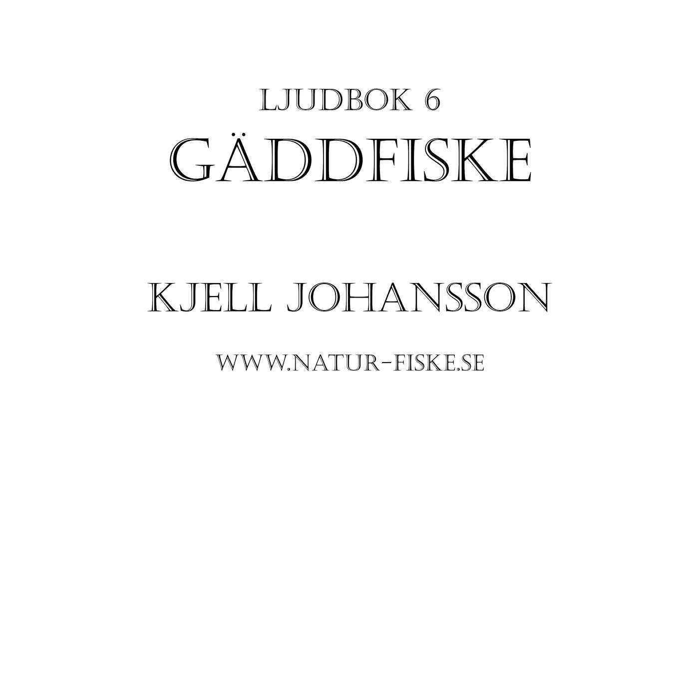 Gäddfiske – Ljudbok