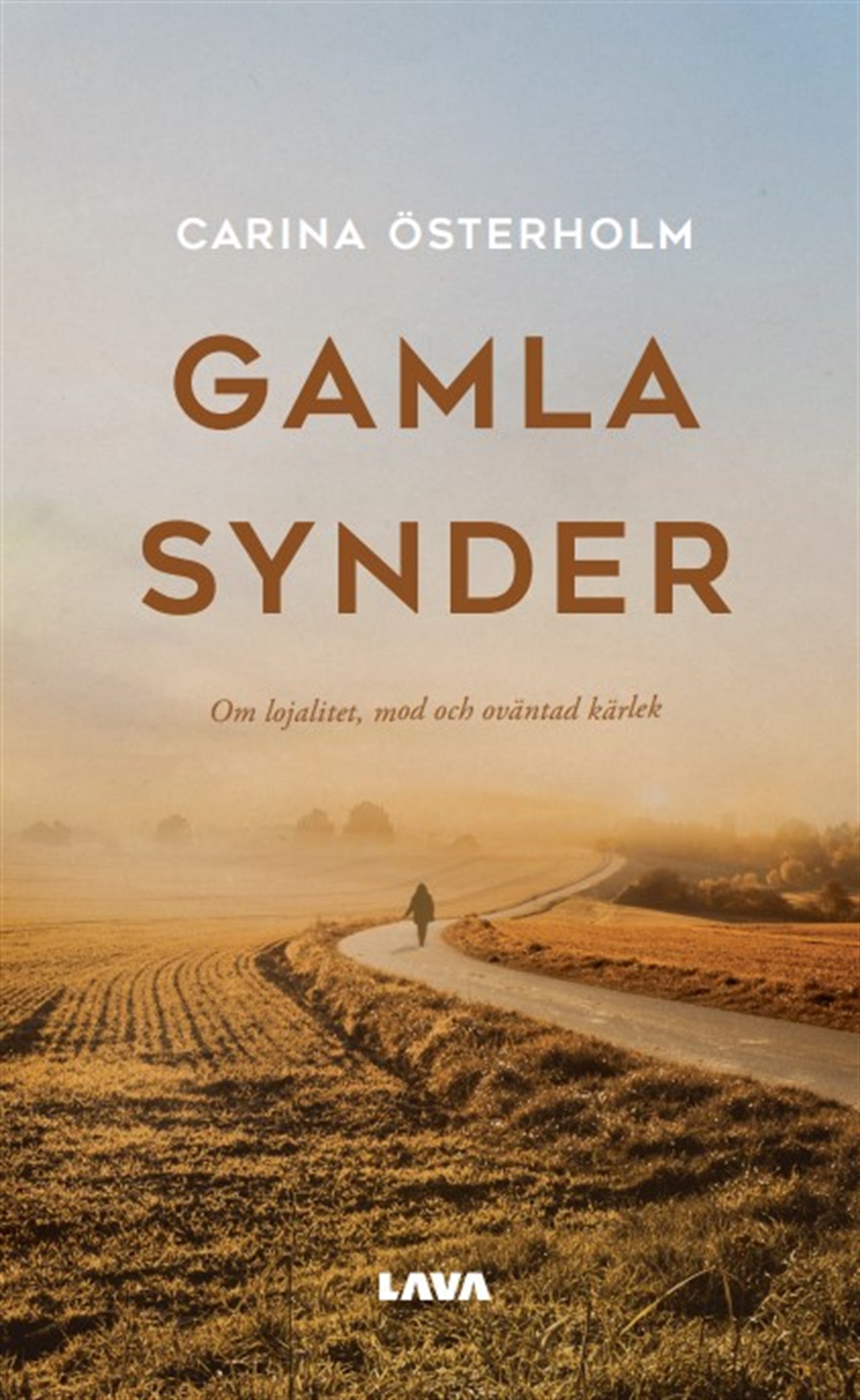 Gamla synder – E-bok