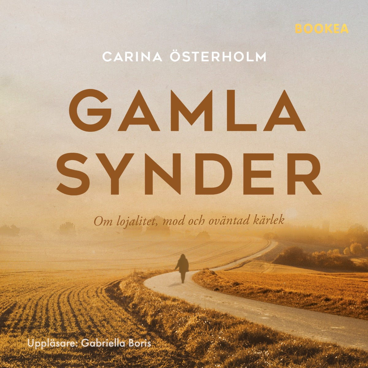 Gamla synder – Ljudbok