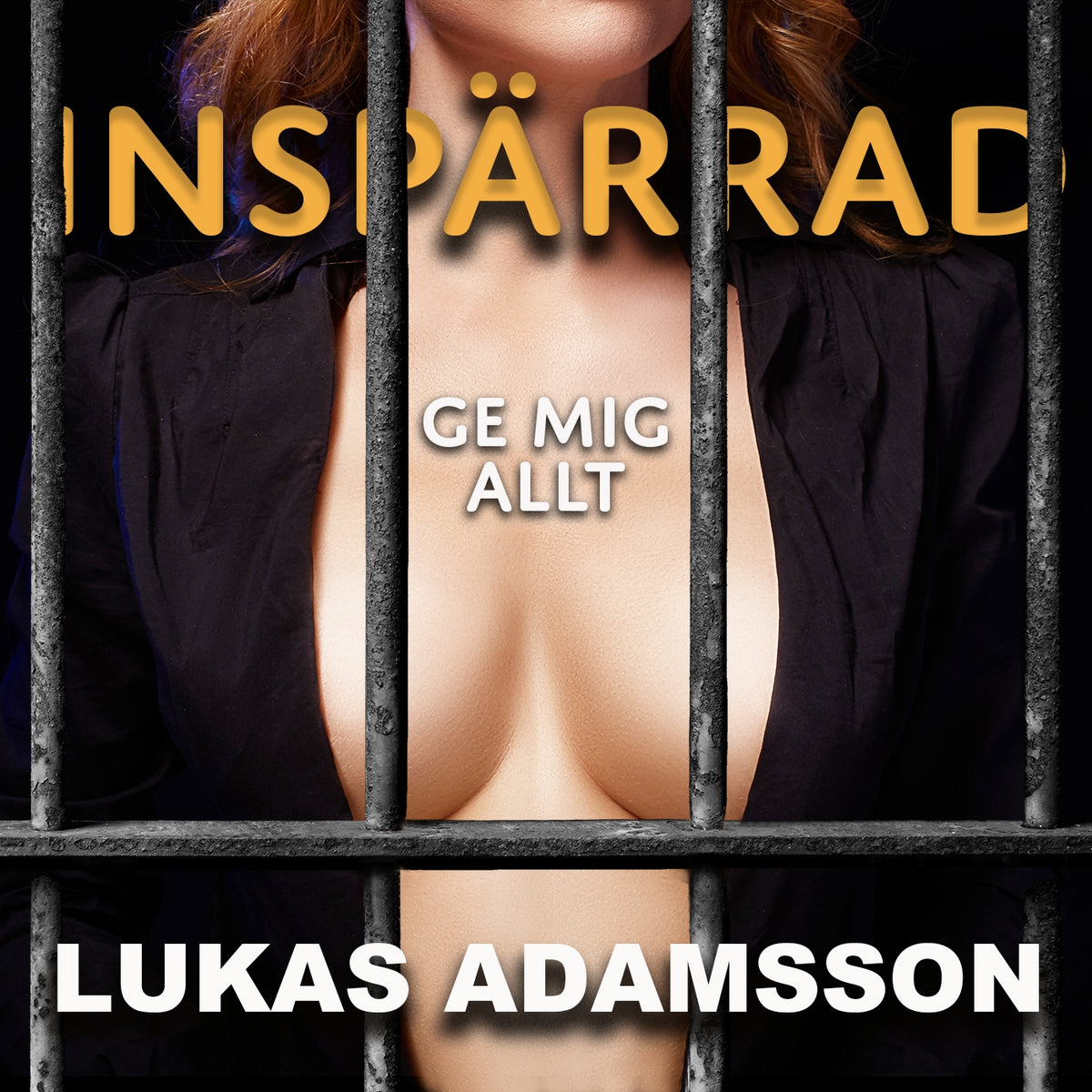 Ge mig allt – Ljudbok