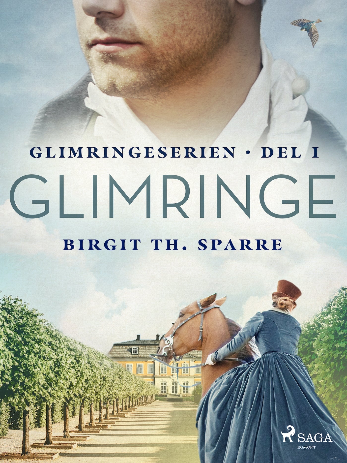 Glimringe – E-bok