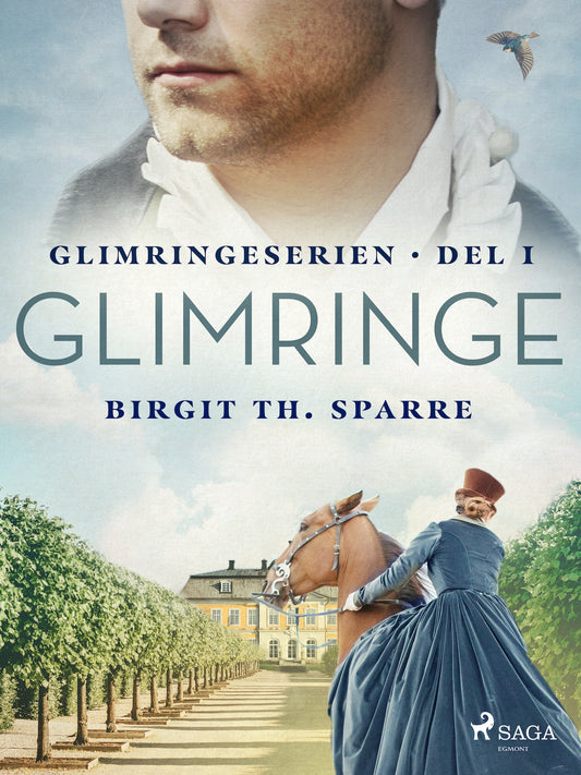 Glimringe – E-bok
