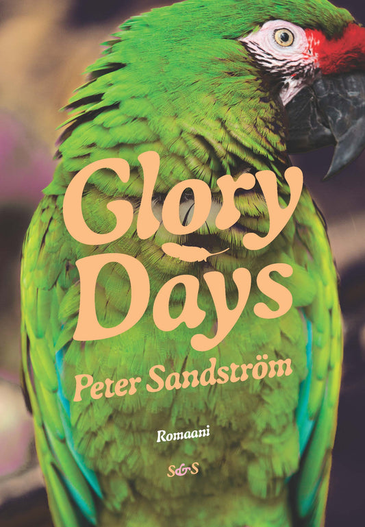Glory Days – E-bok