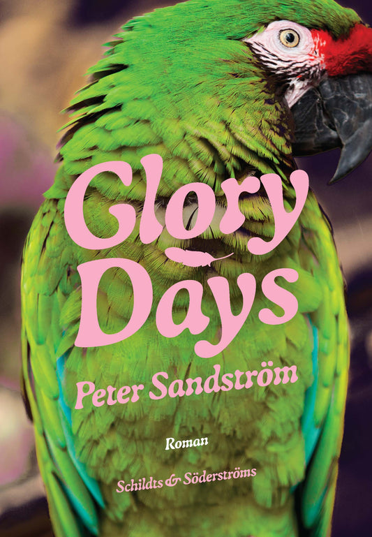 Glory Days – E-bok