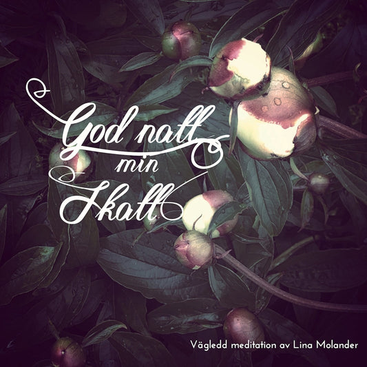 God natt min skatt – Ljudbok