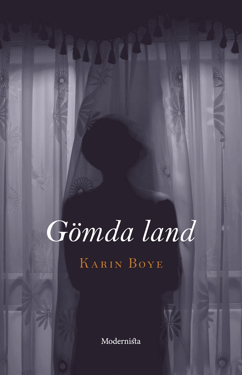 Gömda land – E-bok
