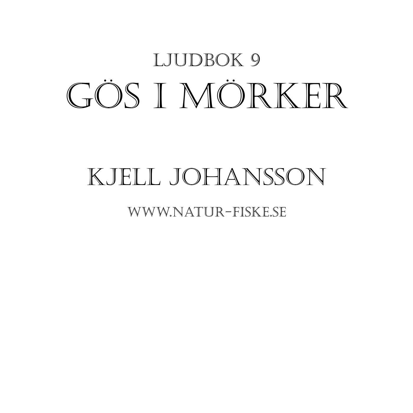 Gös i Mörker – Ljudbok