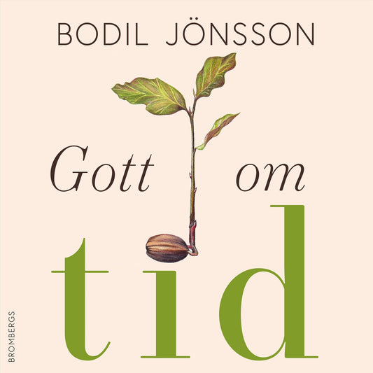 Gott om tid – Ljudbok
