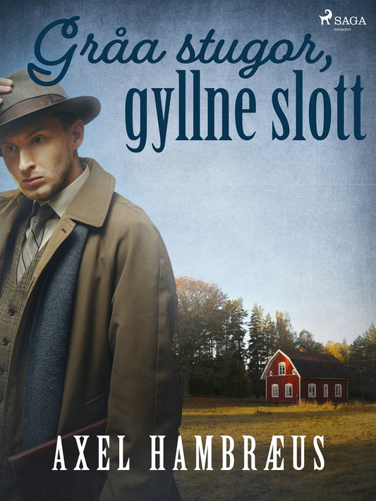 Gråa stugor, gyllne slott – E-bok